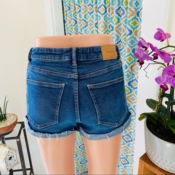 Trafaluc by Zara Denim Shorts (size 4) - Picture 5 of 10